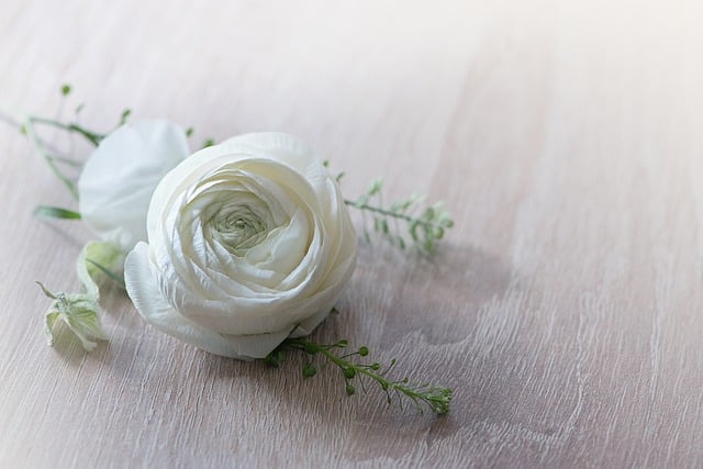 flower 1316753 640 - Valentine’s Day: A Time to Love, Remember, and Cherish