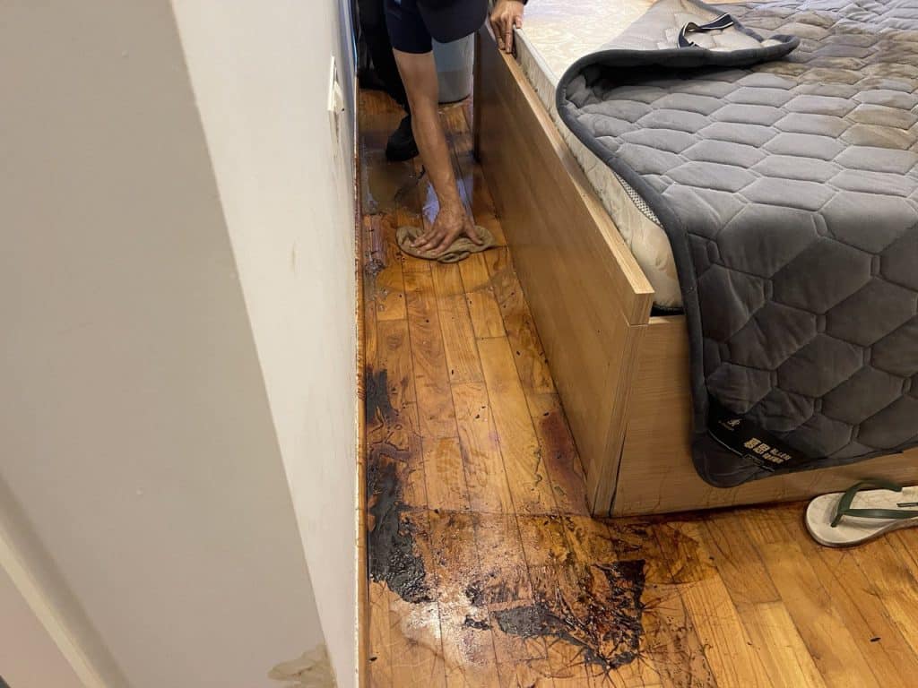 trauma cleaning