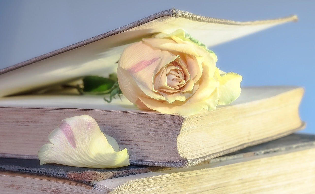 rose 2101475 1280 - Singapore Funeral Printing Services
