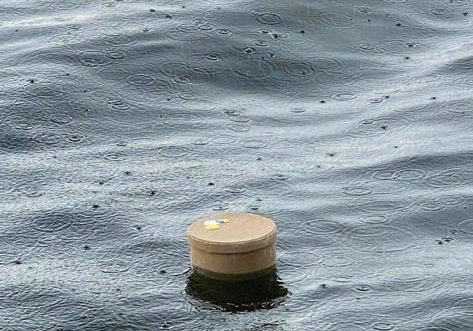 IMAGE 2024 05 18 210714 landscape cd9407e2ba6eda3bc01a3abd873f4110 6648a6a12a5ae - Methods Of Body Disposal In Singapore