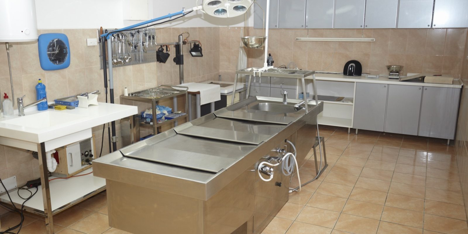 FAQS on Embalming WhatsApp Image 2023 07 26 at 6.22.49 PM panorama - FAQS on Embalming